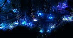 Sophie: Starlight Whispers