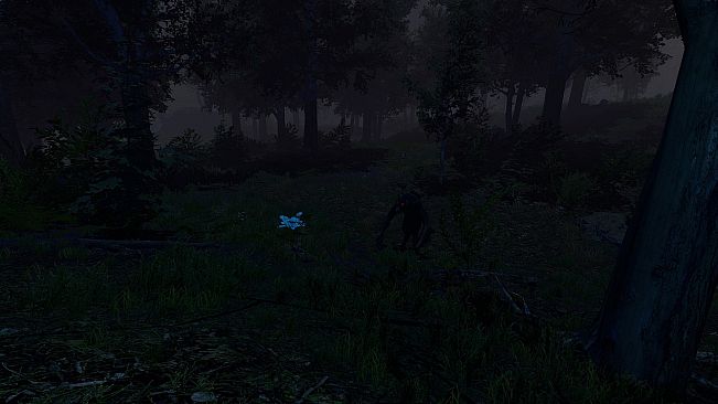 Trials of Wilderness