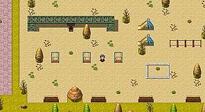 The Color of the Roses