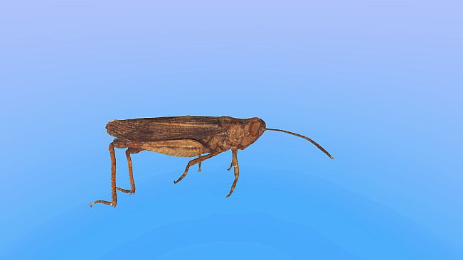 Retropy VR: Amazing Insects #1