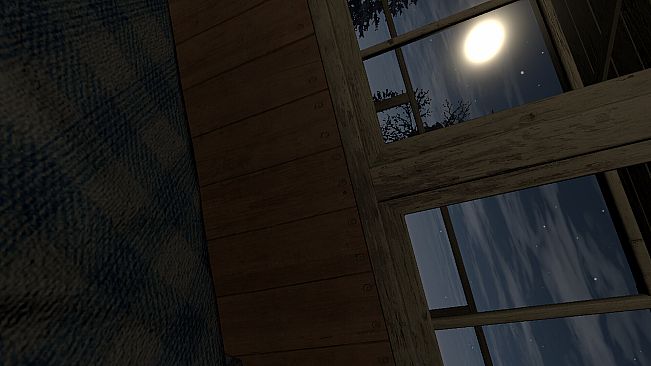 Still Pines: watchtower