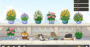 Bloom Cats