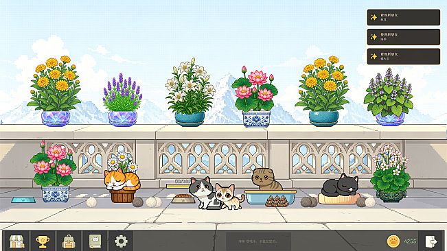 Bloom Cats
