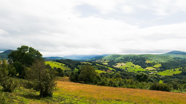 UNCORPOREAL - Holographic Photography Demo