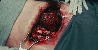 Dead Reset - 4K Video Pack