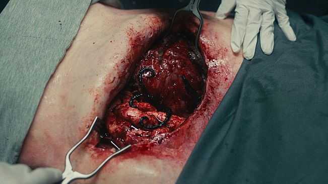 Dead Reset - 4K Video Pack