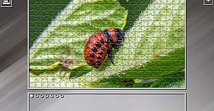 Super Jigsaw Puzzle: Generations - Bugs 2