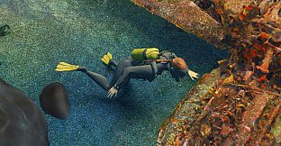 Puzzling Places - Summer Dive