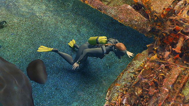 Puzzling Places - Summer Dive