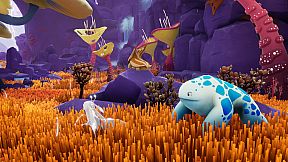 Sayri: The Beginning