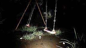 Cursed Digicam | 呪われたデジカメ