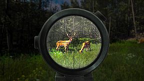 Wild Hunter: Sniper Rifle Adventures Simulator