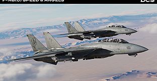 DCS: F-14B(U) Speed & Angels Campaign by Reflected Simulations