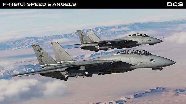 DCS: F-14B(U) Speed & Angels Campaign by Reflected Simulations