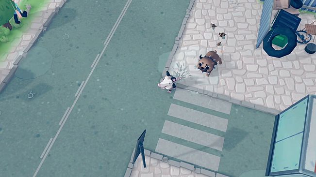 Possums