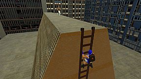 The Legend Of Tiger And Phoenix