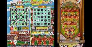 Bingo Pinball Gameroom - Bally Double Header