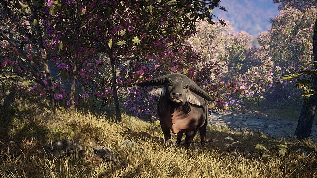 theHunter: Call of the Wild - Sundarpatan Nepal Hunting Reserve