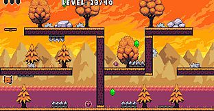 Meow and the Diamond Jump