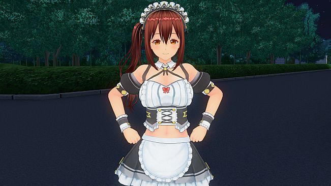 CUSTOM ORDER MAID 3D2 Personality Pack Friendly and Slightly Naughty Woman DLX edition