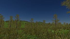 Poland Car Simulator