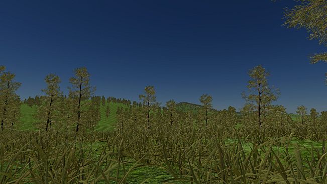 Poland Car Simulator