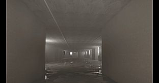 The Mysterious Backrooms