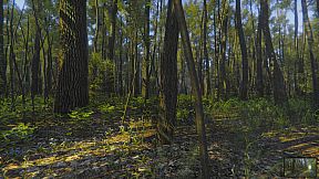 Mindfulness Simulator - ASMR Meditation Game