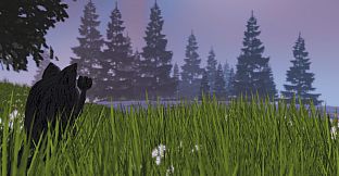 Floppy Cat Adventures