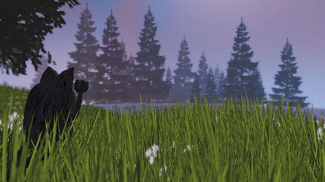 Floppy Cat Adventures