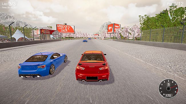 CarSim Racing