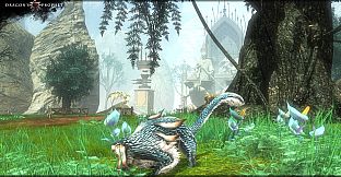 Dragon's Prophet: Free Pack