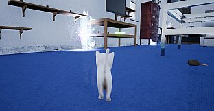 Kitten Madness