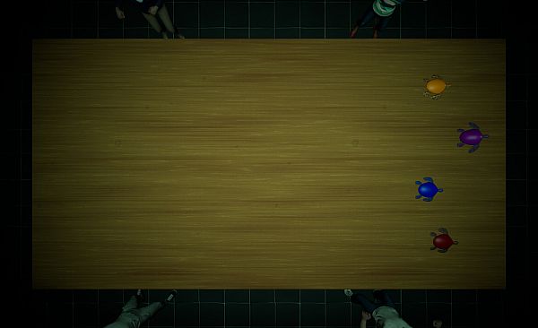 Underground Turtle Races