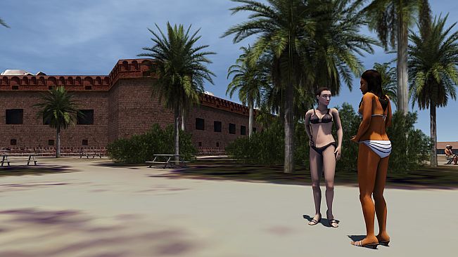 Aerofly FS 2 - USA South Florida