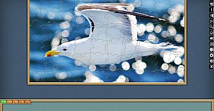 Jigsaw Puzzle Pack - Pixel Puzzles Ultimate: PP2 Birds