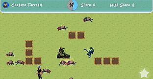 Ferret Frenzy - Even Frenzier!