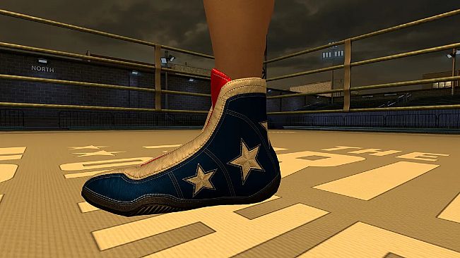 The Thrill Of The Fight 2 - 4th of July Shoes