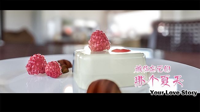 Your Love Story 被你忘记的那个夏天