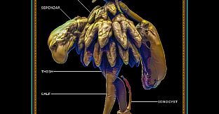 Integument - Database: Gates
