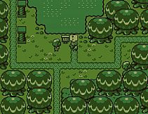 Timothy and the Mysterious Forest