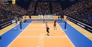 Volleyball Mania