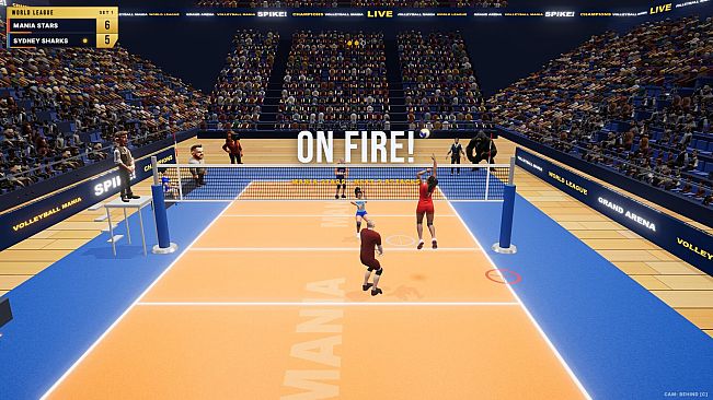 Volleyball Mania