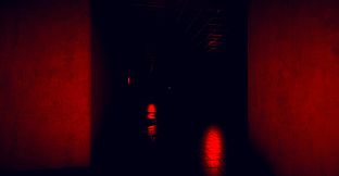 A Voice In The Dark