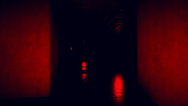 A Voice In The Dark