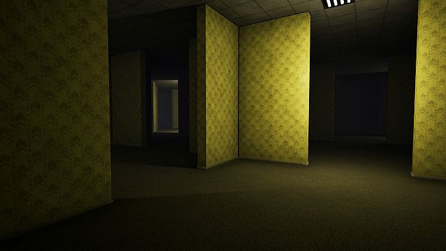 The Abandoned Levels