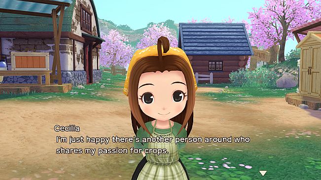 Story of Seasons : A Wonderful life