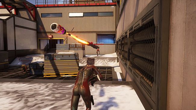 Rogue Company - Rogue Edition