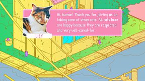 Stray Cats in Cozy Town