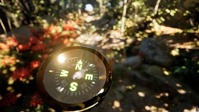 Misty Onsen - Golden Compass Supporter Pack